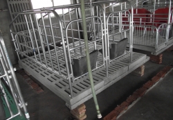 全漏糞板式限位欄