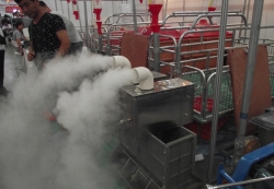 紅外線消毒通道