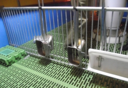 豬用懸掛式飲水碗